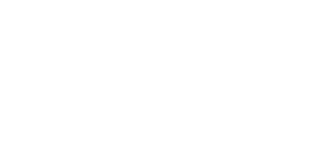 Logo Footer
